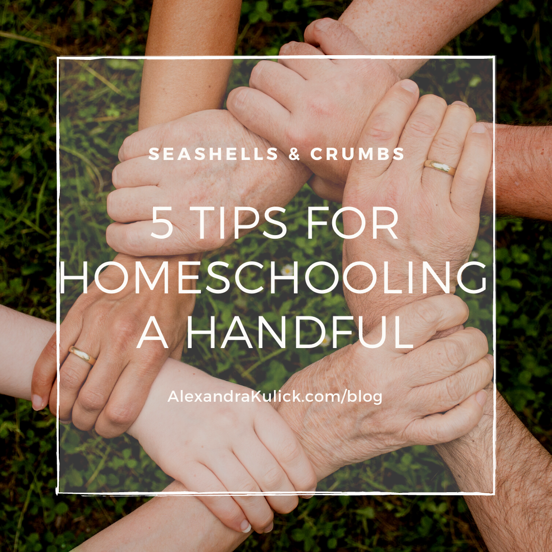 tips for homeschooling a handful